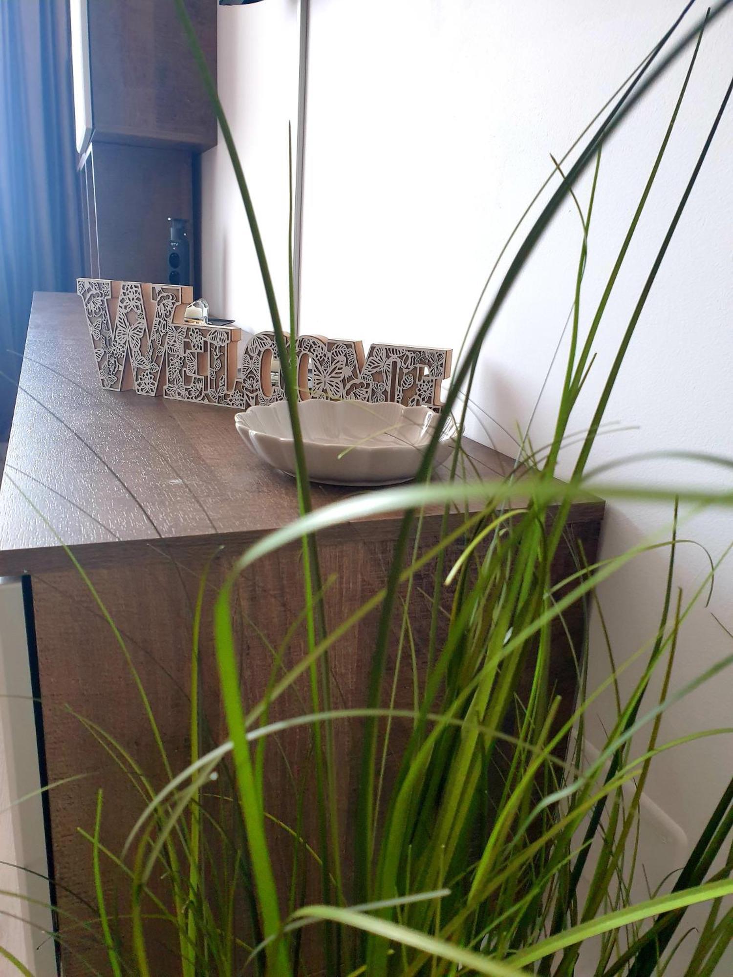 Suite&garden Coresi Apartament