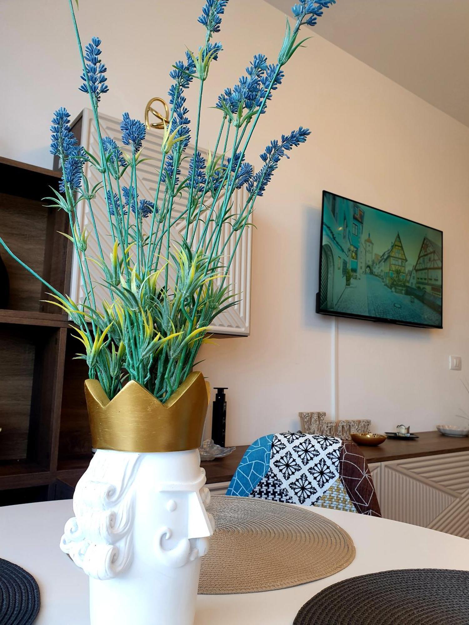 Suite&garden Coresi Apartament