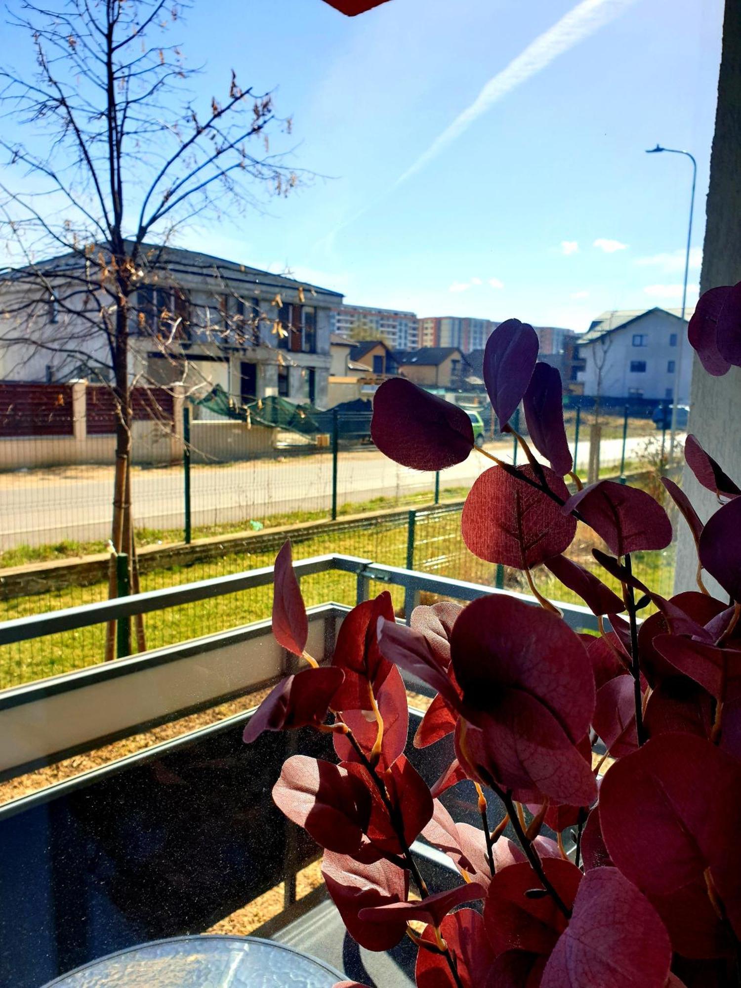 Appartamento Suite&garden Coresi Braşov